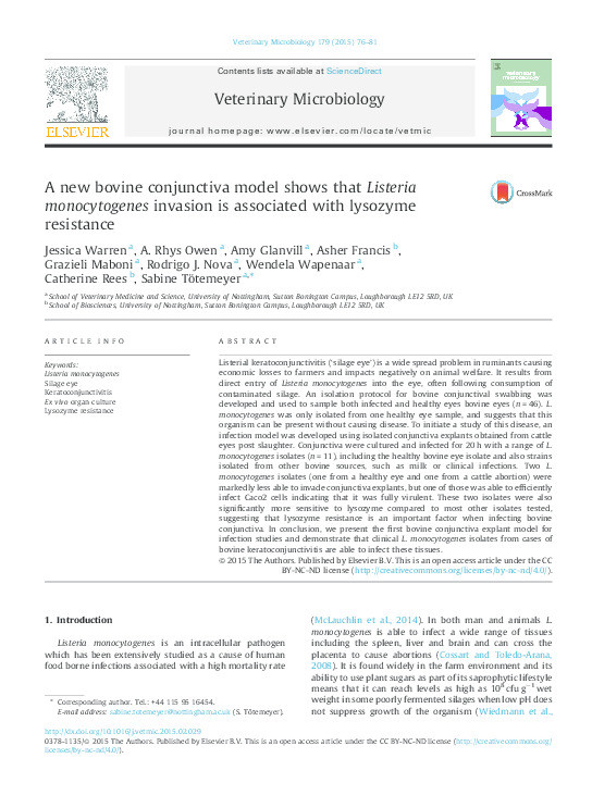 A new bovine conjunctiva model shows that Listeria monocytogenes invasion is associated with lysozyme resistance. Thumbnail