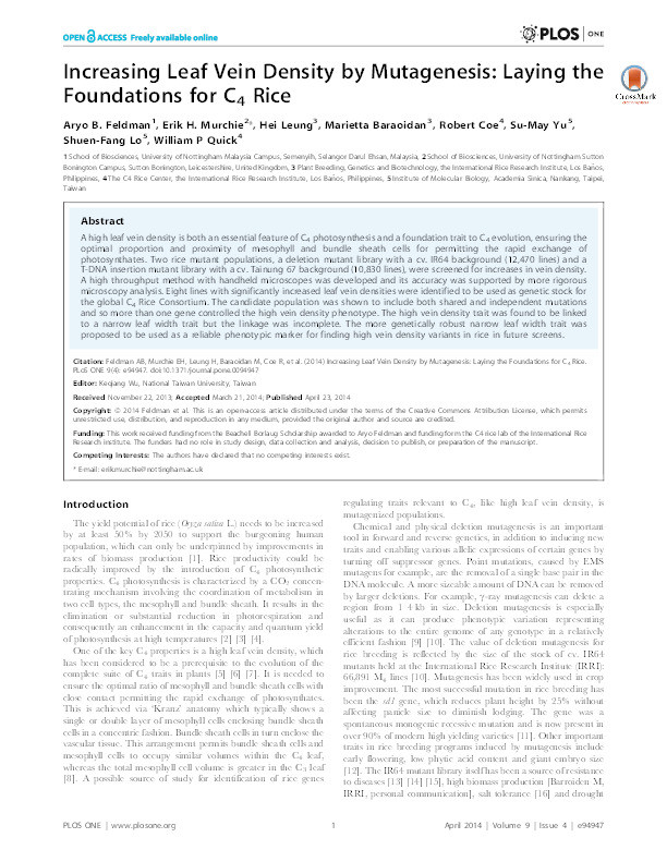 Increasing leaf vein density by mutagenesis: laying the foundations for C4 rice Thumbnail