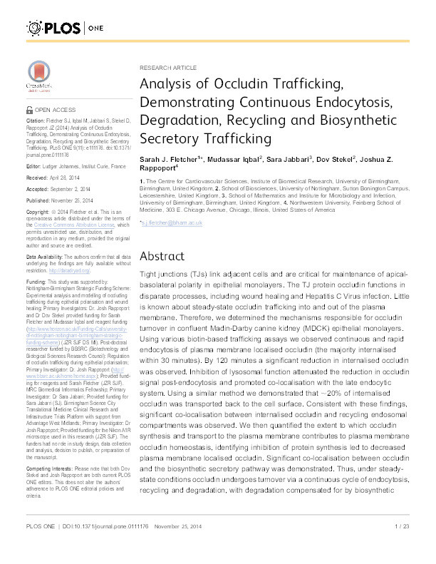 Analysis of occludin trafficking, demonstrating continuous endocytosis, degradation, recycling and biosynthetic secretory trafficking Thumbnail