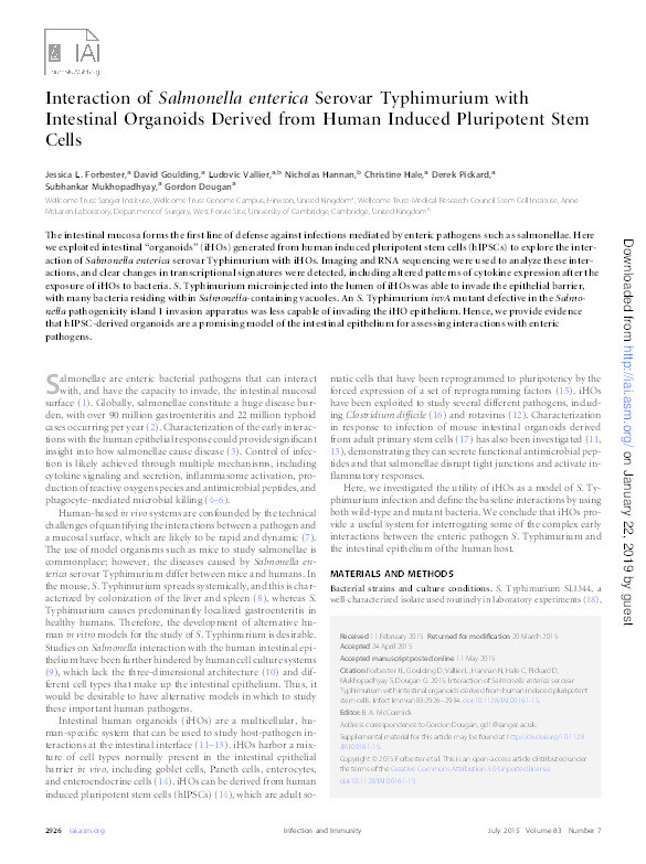 Interaction of Salmonella enterica Serovar Typhimurium with intestinal organoids derived from human induced pluripotent stem cells Thumbnail