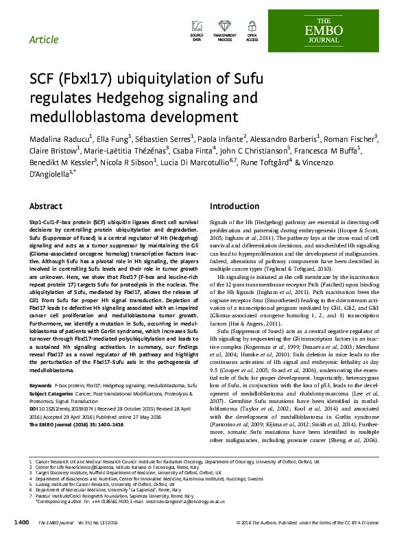 SCF (Fbxl17) ubiquitylation of Sufu regulates Hedgehog signaling and medulloblastoma development Thumbnail