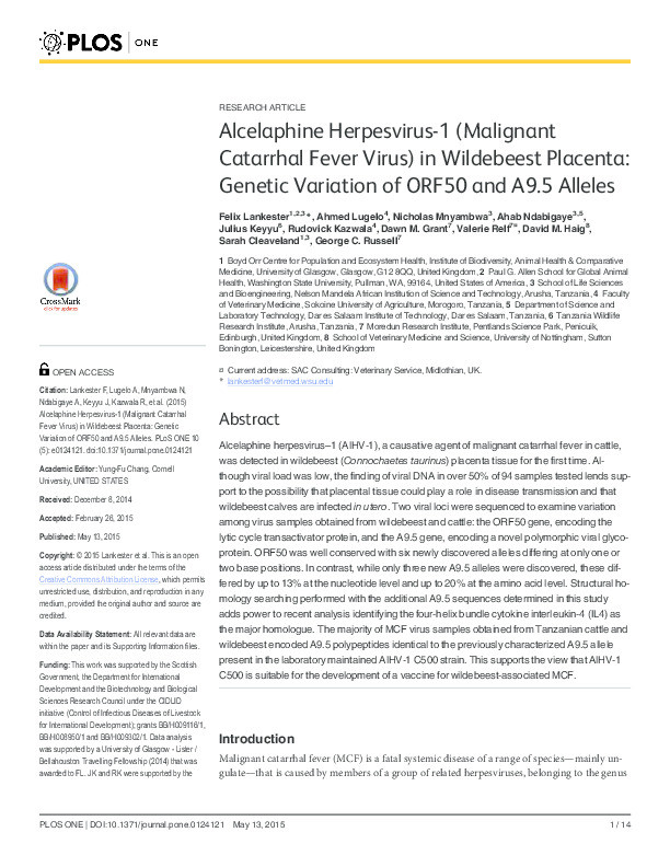 Alcelaphine Herpesvirus-1 (Malignant Catarrhal Fever Virus) in Wildebeest Placenta: Genetic Variation of ORF50 and A9.5 Alleles Thumbnail