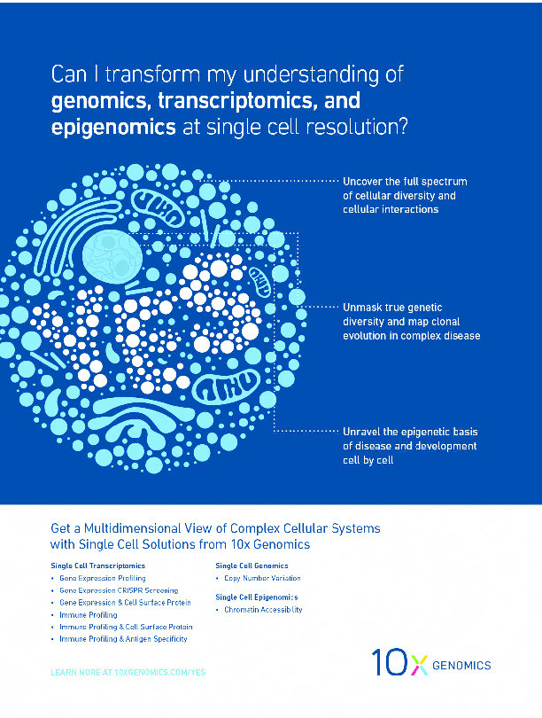 Concise review: Emerging Drugs Targeting Epithelial Cancer Stem-like Cells Thumbnail