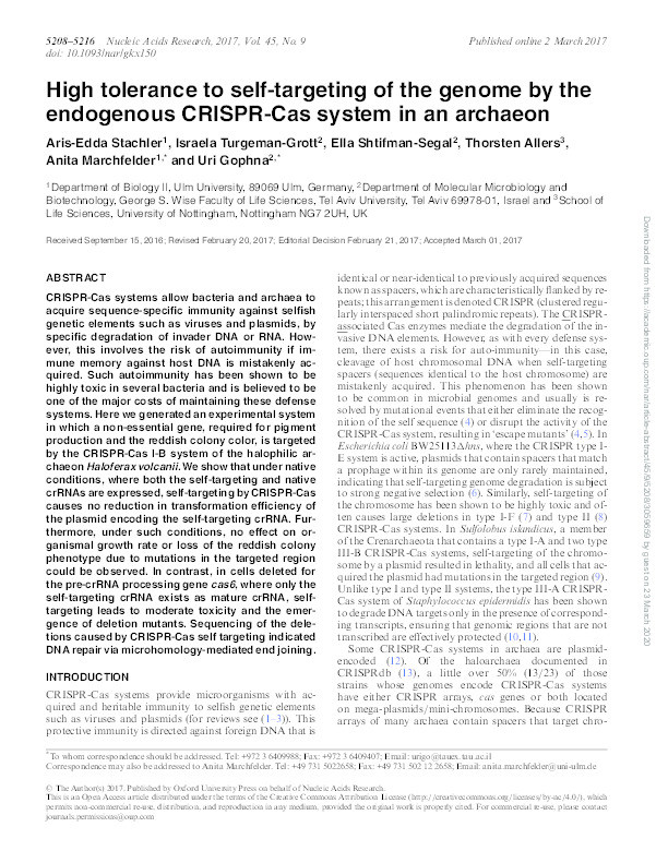 High tolerance to self-targeting of the genome by the endogenous CRISPR-Cas system in an archaeon Thumbnail