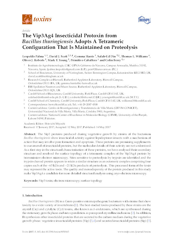 The Vip3Ag4 Insecticidal Protoxin from Bacillus thuringiensis Adopts A Tetrameric Configuration That Is Maintained on Proteolysis Thumbnail