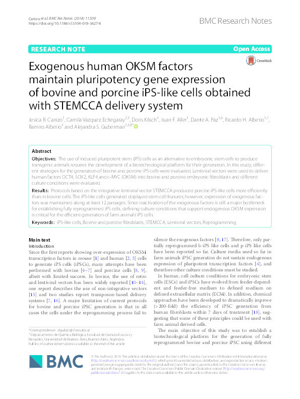 Exogenous human OKSM factors maintain pluripotency gene expression of bovine and porcine iPS-like cells obtained with STEMCCA delivery system Thumbnail