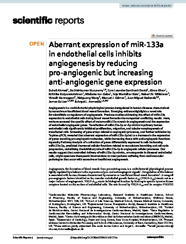 Aberrant expression of miR-133a in endothelial cells inhibits angiogenesis by reducing pro-angiogenic but increasing anti-angiogenic gene expression Thumbnail