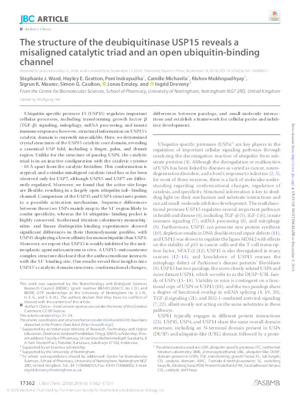 The structure of the deubiquitinase USP15 reveals a misaligned catalytic triad and an open ubiquitin-binding channel Thumbnail