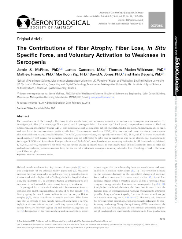 The contributions of fiber atrophy, fiber loss, in situ specific force, and voluntary activation to weakness in sarcopenia Thumbnail
