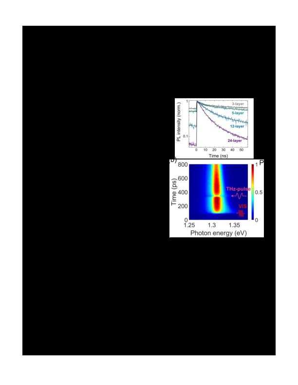 Carrier dynamics in InSe and the impact of terahertz pulses Thumbnail