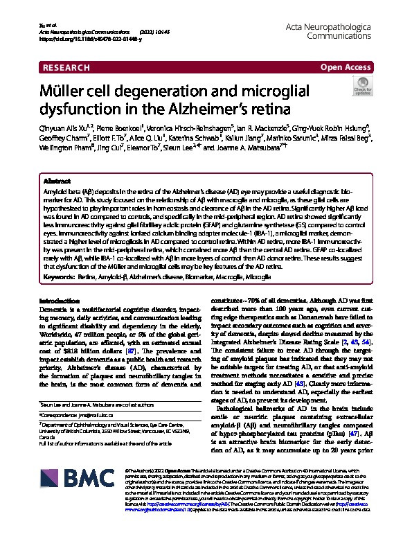 Müller cell degeneration and microglial dysfunction in the Alzheimer’s retina Thumbnail