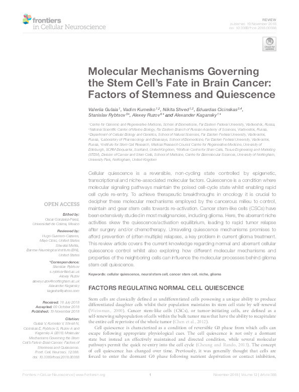 Molecular mechanisms governing the stem cell's fate in brain cancer: factors of stemness and quiescence Thumbnail