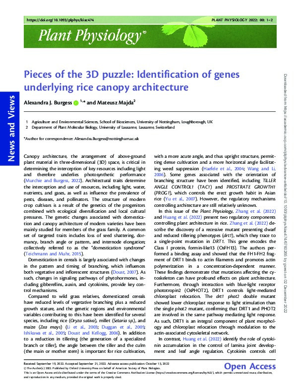 Pieces of the 3D puzzle: Identification of genes underlying rice canopy architecture Thumbnail