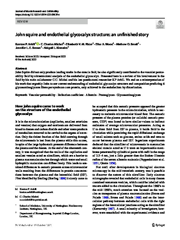 John squire and endothelial glycocalyx structure: an unfinished story Thumbnail