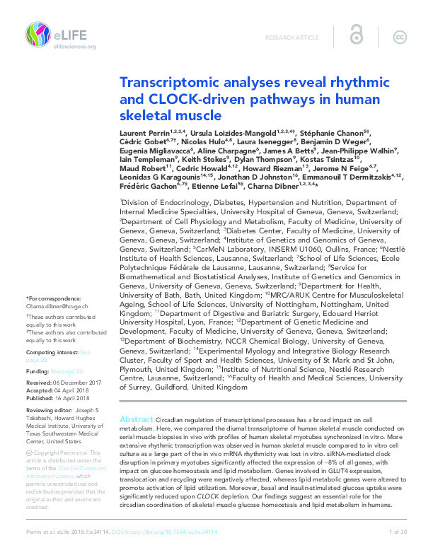 Transcriptomic analyses reveal rhythmic and CLOCK-driven pathways in human skeletal muscle Thumbnail