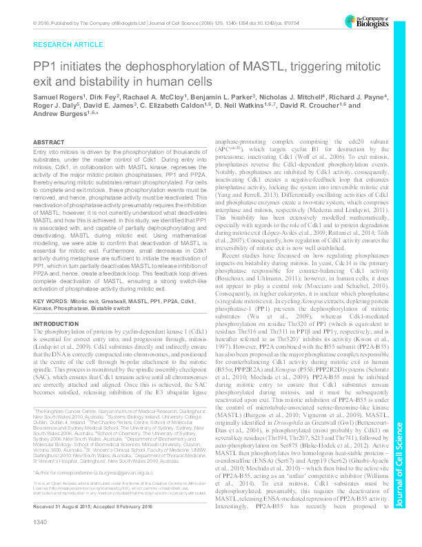PP1 initiates the dephosphorylation of MASTL, triggering mitotic exit and bistability in human cells Thumbnail