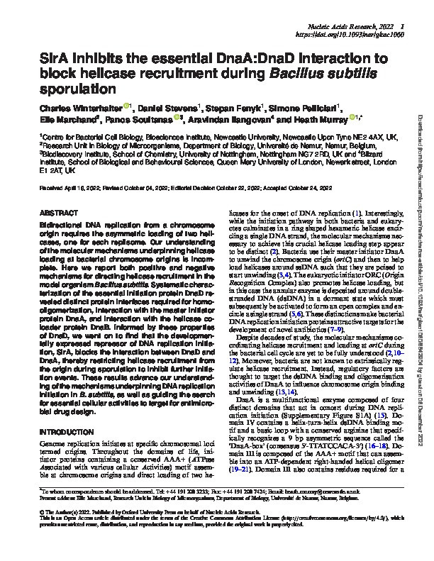 SirA inhibits the essential DnaA:DnaD interaction to block helicase recruitment during Bacillus subtilis sporulation Thumbnail