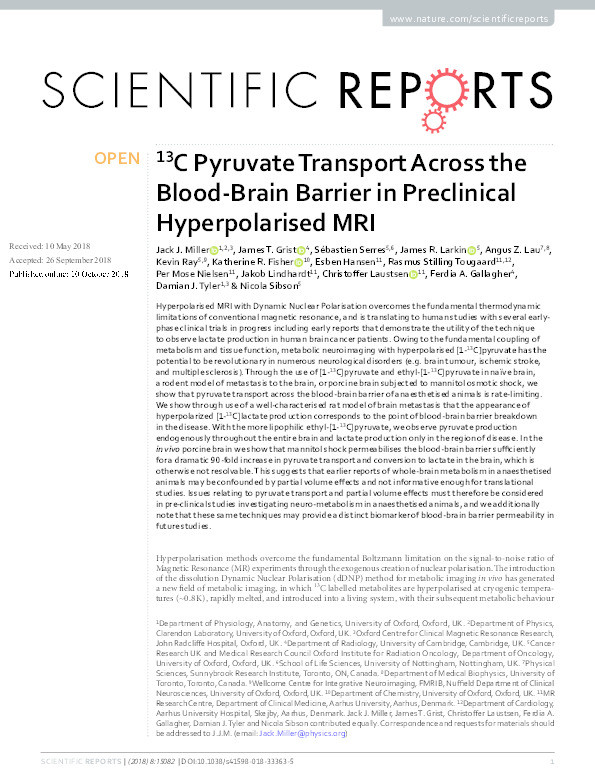 13C Pyruvate Transport Across the Blood-Brain Barrier in Preclinical Hyperpolarised MRI Thumbnail