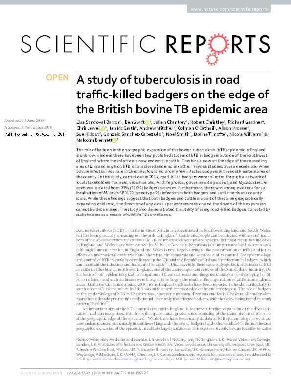 A study of tuberculosis in road traffic-killed badgers on the edge of the British bovine TB epidemic area Thumbnail
