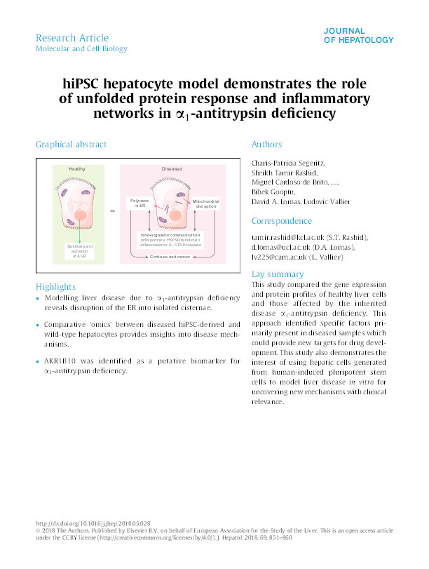 hiPSC hepatocyte model demonstrates the role of unfolded protein response and inflammatory networks in α1-antitrypsin deficiency Thumbnail