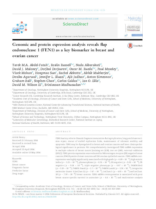 Genomic and protein expression analysis reveals flap endonuclease 1 (FEN1) as a key biomarker in breast and ovarian cancer Thumbnail