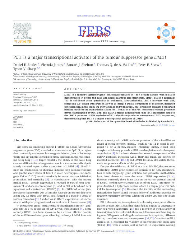 PU.1 is a major transcriptional activator of the tumour suppressor gene LIMD1 Thumbnail