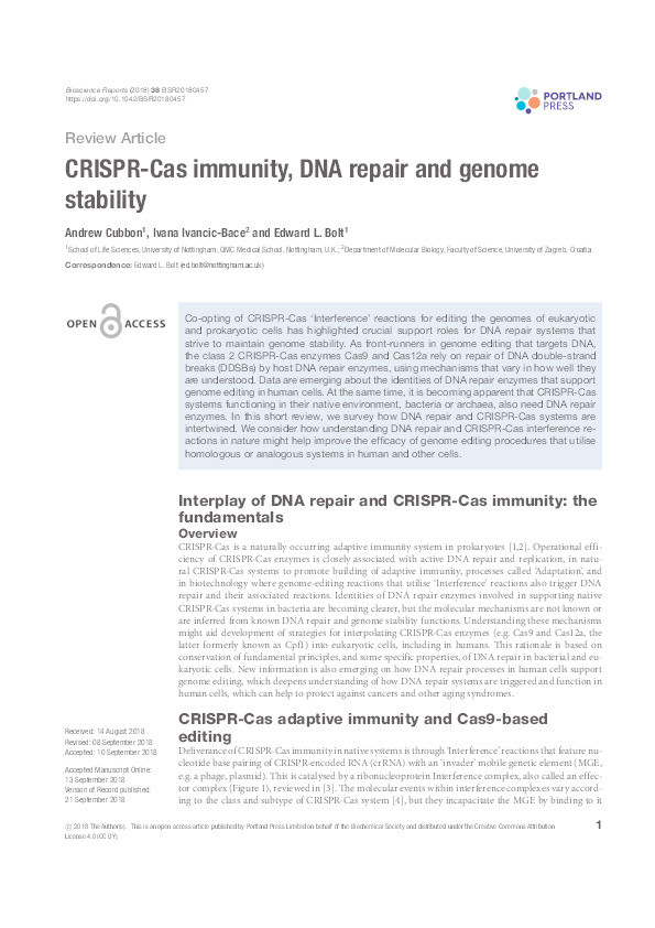 CRISPR-Cas immunity, DNA repair and genome stability Thumbnail