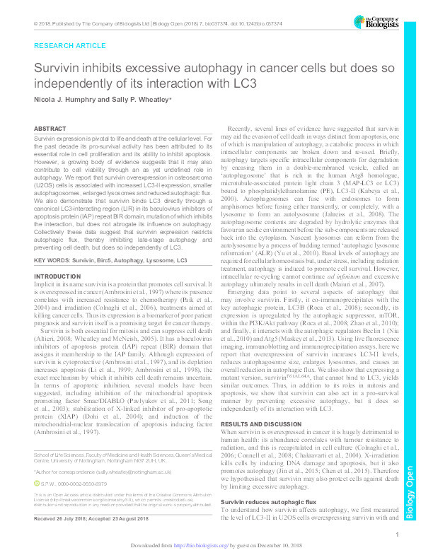 Survivin inhibits excessive autophagy in cancer cells but does so independently of its interaction with LC3 Thumbnail