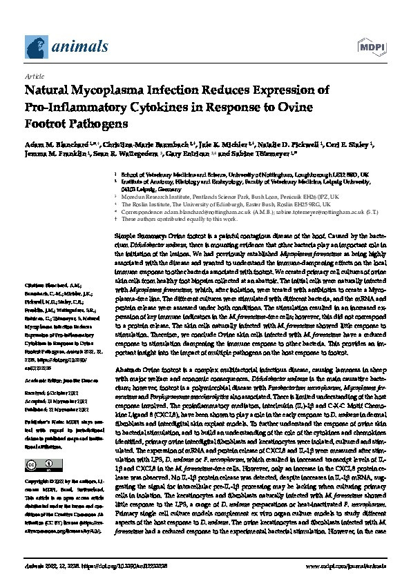 Natural Mycoplasma Infection Reduces Expression of Pro-Inflammatory Cytokines in Response to Ovine Footrot Pathogens Thumbnail