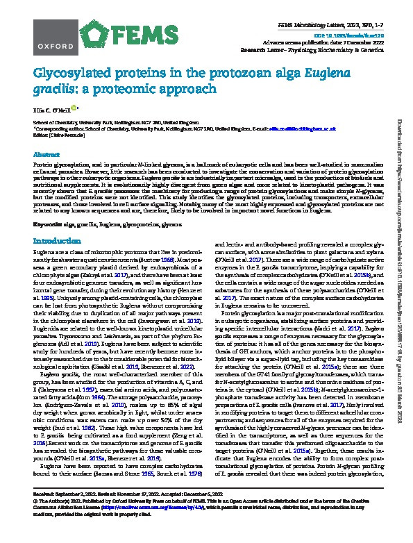 Glycosylated proteins in the protozoan alga Euglena gracilis: a proteomic approach Thumbnail