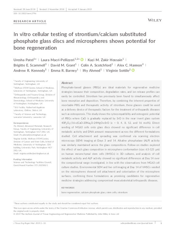 In vitro cellular testing of Strontium/Calcium substituted phosphate glass discs and microspheres shows potential for bone regeneration Thumbnail