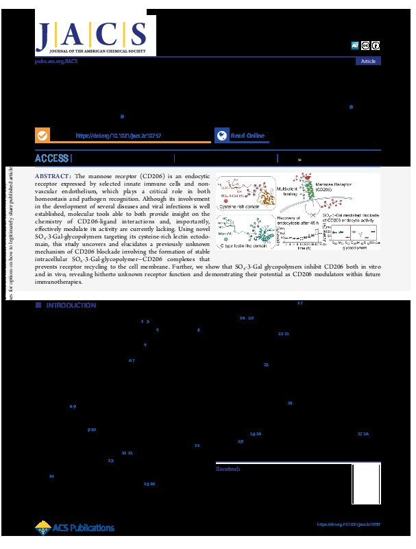 Sulfation at Glycopolymer Side Chains Switches Activity at the Macrophage Mannose Receptor (CD206) In Vitro and In Vivo Thumbnail