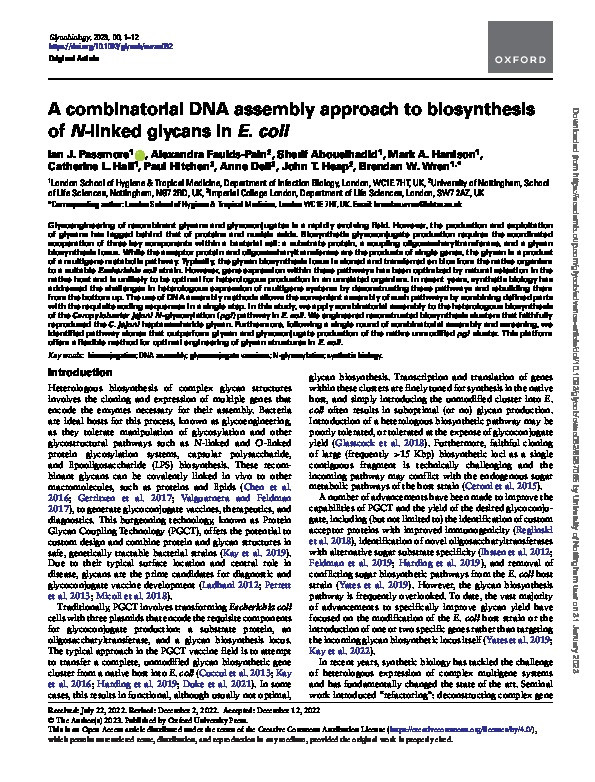 A combinatorial DNA assembly approach to biosynthesis of N-linked glycans in E. coli Thumbnail