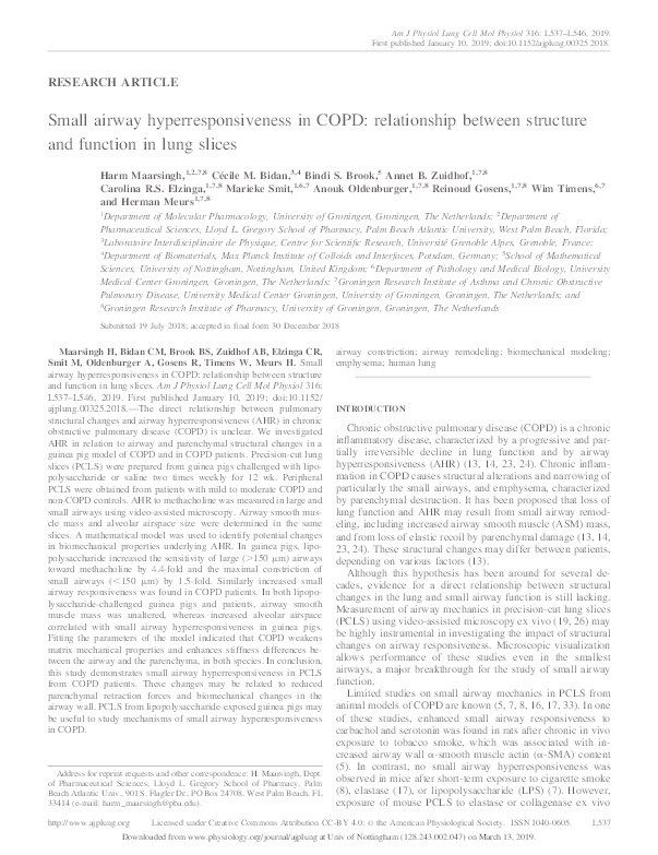 Small airway hyperresponsiveness in COPD: relationship between structure and function in lung slices Thumbnail