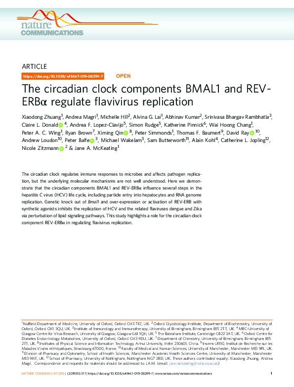 The circadian clock components BMAL1 and REV-ERB? regulate flavivirus replication Thumbnail