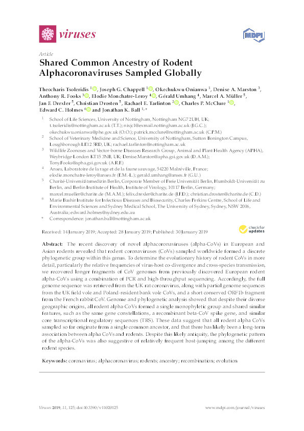 Shared common ancestry of rodent  alphacoronaviruses sampled globally Thumbnail