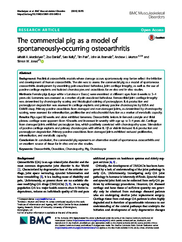 The commercial pig as a model of spontaneously-occurring osteoarthritis Thumbnail