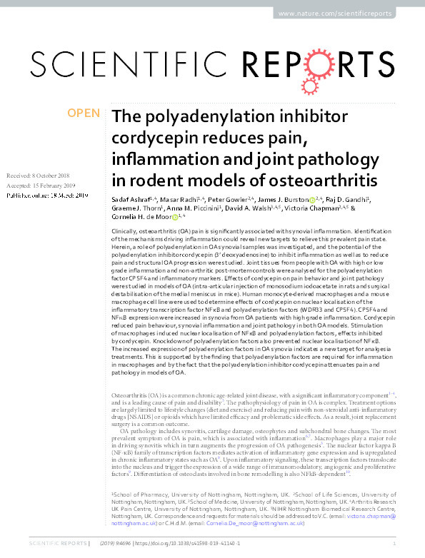 The polyadenylation inhibitor cordycepin reduces pain, inflammation and joint pathology in rodent models of osteoarthritis Thumbnail