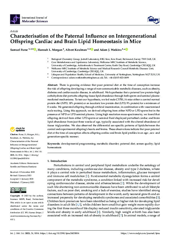 Characterisation of the Paternal Influence on Intergenerational Offspring Cardiac and Brain Lipid Homeostasis in Mice Thumbnail