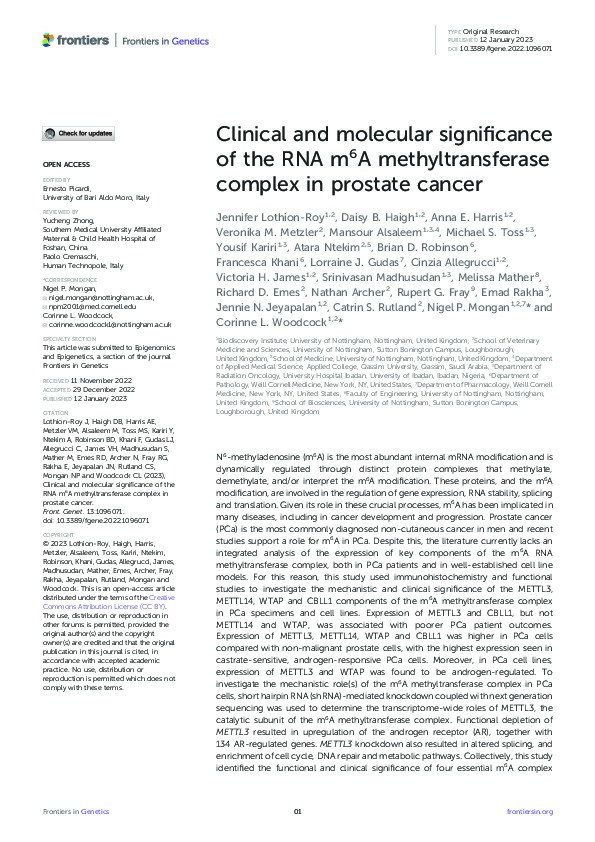 Clinical and molecular significance of the RNA m6A methyltransferase complex in prostate cancer Thumbnail