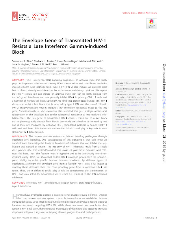 The envelope gene of transmitted HIV-1 resists a late interferon gamma-induced block Thumbnail