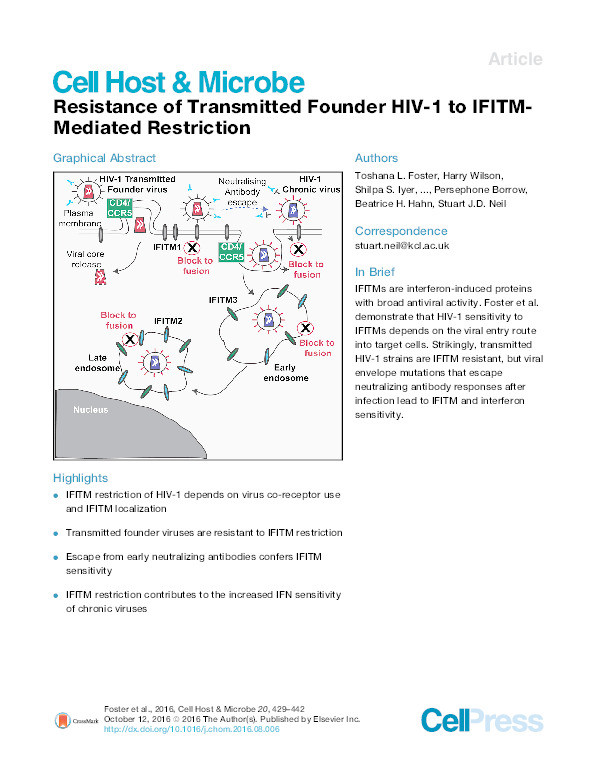 Resistance of transmitted founder HIV-1 to IFITM-mediated restriction Thumbnail