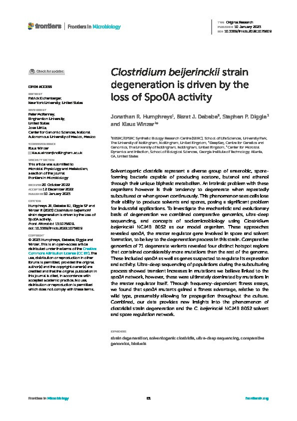 Clostridium beijerinckii strain degeneration is driven by the loss of Spo0A activity Thumbnail