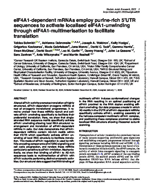 eIF4A1-dependent mRNAs employ purine-rich 5'UTR sequences to activate localised eIF4A1-unwinding through eIF4A1-multimerisation to facilitate translation Thumbnail