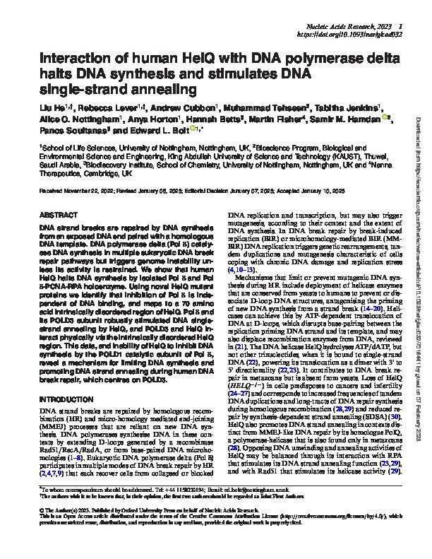 Interaction of human HelQ with DNA polymerase delta halts DNA synthesis and stimulates DNA single-strand annealing Thumbnail