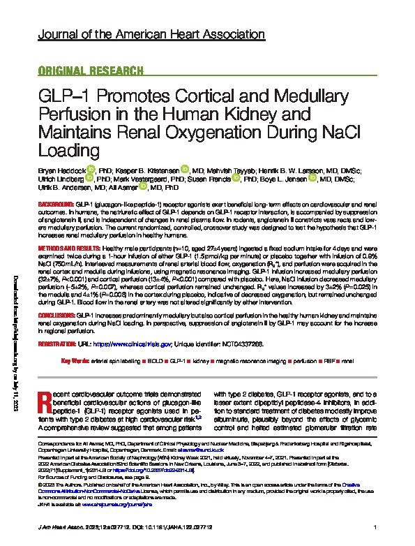 GLP−1 Promotes Cortical and Medullary Perfusion in the Human Kidney and Maintains Renal Oxygenation During NaCl Loading Thumbnail
