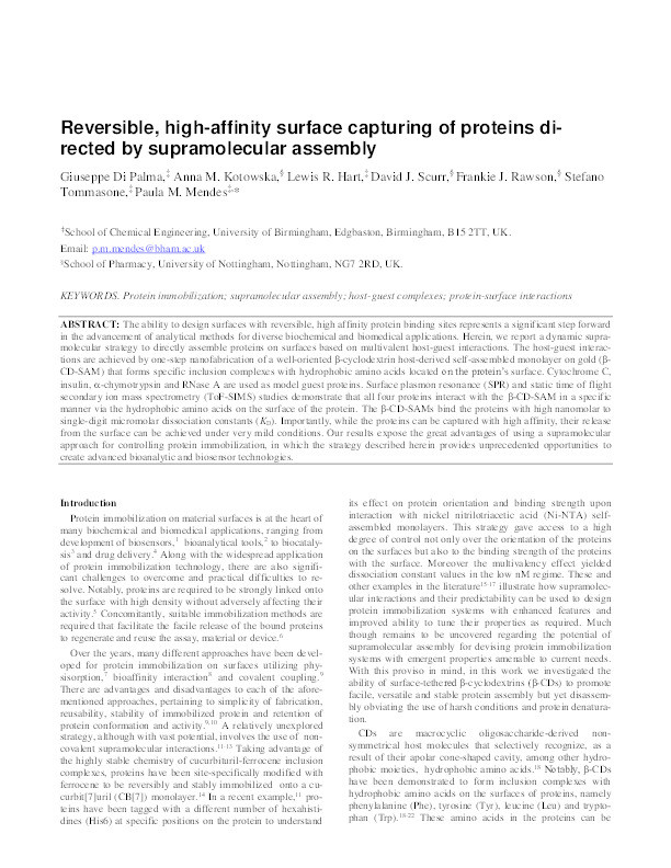 Reversible, High-Affinity Surface Capturing of Proteins Directed by Supramolecular Assembly Thumbnail