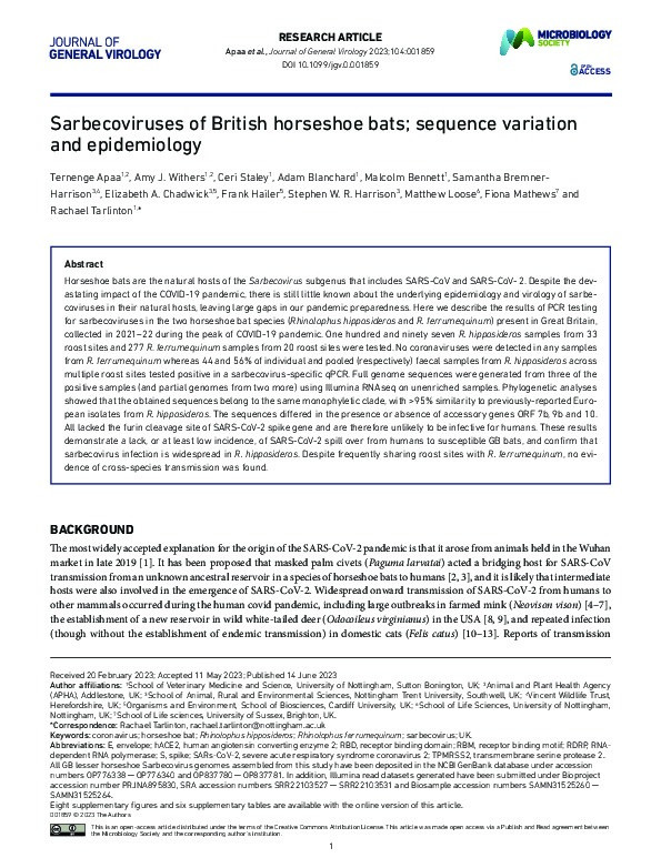 Sarbecoviruses of British Horseshoe Bats; Sequence Variation and Epidemiology Thumbnail