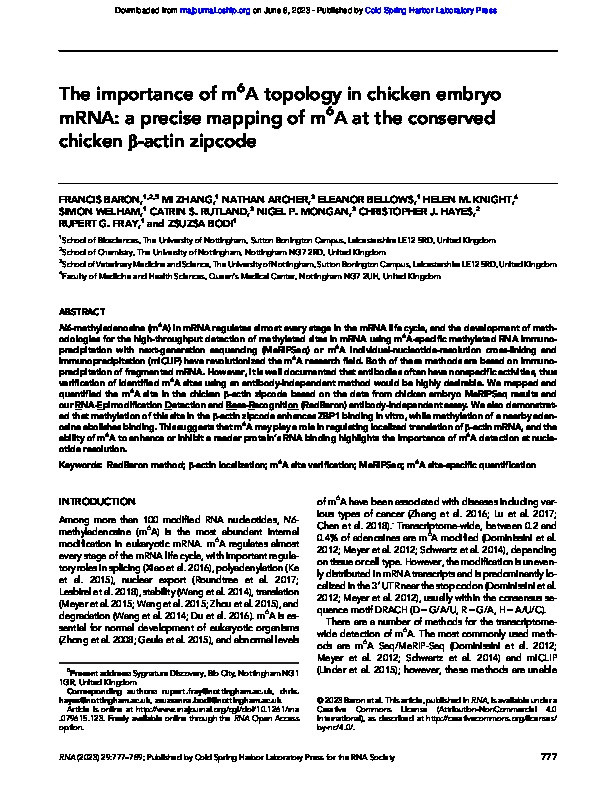 The importance of m6A topology in chicken embryo mRNA: a precise mapping of m6A at the conserved chicken β-actin zipcode Thumbnail