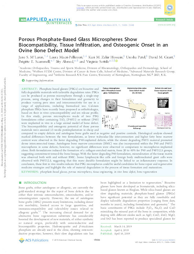 Porous phosphate-based glass microspheres show biocompatibility, tissue infiltration and osteogenic onset in an ovine bone defect model Thumbnail